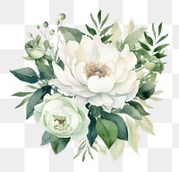 PNG White flowers rose plant green