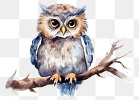 PNG Animal owl drawing cartoon. 