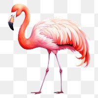 PNG Animal flamingo cartoon bird. AI generated Image by rawpixel.