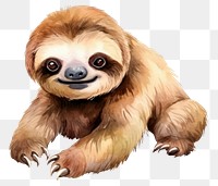 PNG Animal sloth wildlife cartoon. 