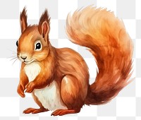 PNG Animal squirrel cartoon rodent. 