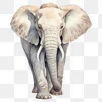 PNG Animal elephant wildlife cartoon. AI generated Image by rawpixel.