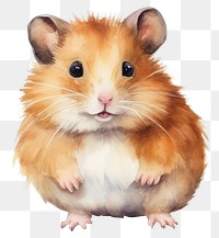 PNG Animal hamster cartoon rodent. 