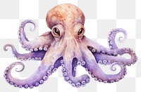 PNG Animal octopus cartoon  