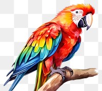 PNG Animal cartoon parrot macaw. 