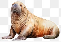 PNG Animal cartoon mammal walrus. AI generated Image by rawpixel.