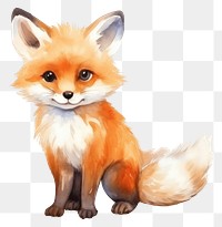 PNG Animal cartoon mammal fox. 