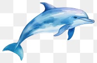 PNG Animal dolphin cartoon mammal. AI generated Image by rawpixel.