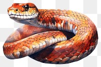 PNG Snake reptile cartoon animal. 