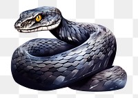 PNG Snake reptile cartoon animal. 