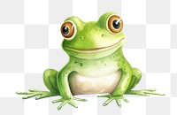 PNG Grenouille amphibian wildlife animal. 