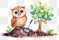 PNG Owl planting a tree drawing sketch animal. 