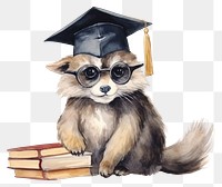 PNG Raccoon wearing a graduation cap animal portrait raccoon. 