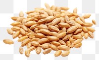 PNG Wheat grain food white background agriculture. AI generated Image by rawpixel.