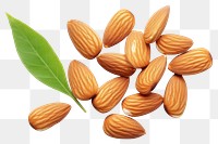 PNG Almonds almond food seed. 