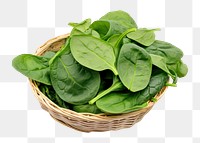 PNG Spinach vegetable basket plant. 