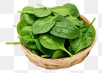 PNG Spinach vegetable basket plant. 