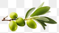 PNG Fruit plant food leaf. 