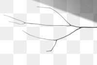 Shadow of dried branch design element