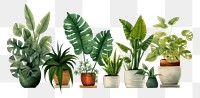 PNG Houseplants houseplant leaf white background. AI generated Image by rawpixel.