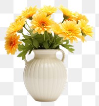 PNG Flower vase plant white. AI generated Image by rawpixel.