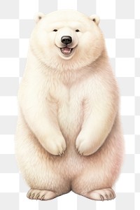 PNG  Polar bear pregnant wildlife mammal animal. AI generated Image by rawpixel.
