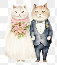 PNG Wedding dress mammal animal adult. 