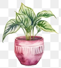 PNG Houseplant vase leaf  