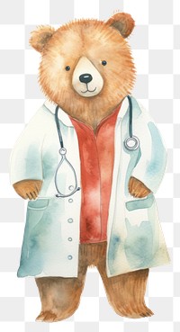 PNG Bear doctor mammal animal  