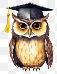 PNG Owl graduate graduation animal bird. 