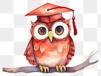 PNG Owl animal bird beak. AI generated Image by rawpixel.