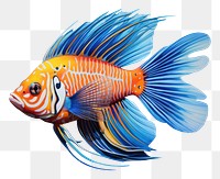 PNG Tropical fish goldfish animal  