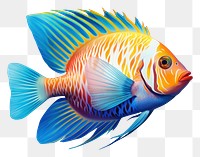 PNG Tropical fish animal white background pomacanthidae. AI generated Image by rawpixel.