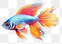 PNG Tropical fish goldfish animal  