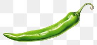 PNG Chilli vegetable green plant. AI generated Image by rawpixel.