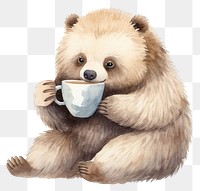 PNG Bear drink coffee mammal animal cute. AI generated Image by rawpixel.