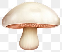 PNG Mushroom fungus agaric  