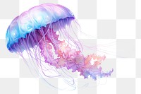 PNG Jelly fish jellyfish animal invertebrate. 