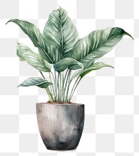 PNG Houseplant vase leaf white background. 