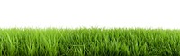 PNG Big grass field backgrounds outdoors nature. .