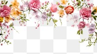 PNG Floral border backgrounds pattern flower