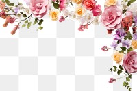 PNG Floral border backgrounds pattern flower. 