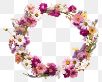 PNG Floral circle border flower petal plant. 