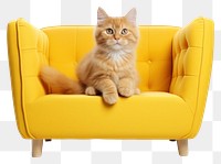 PNG  Sofa cat furniture armchair. 