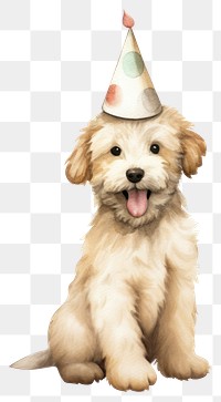 PNG Party hat character Labradoodle puppy cartoon. 