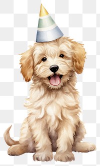 PNG Puppy party hat character Labradoodle. 