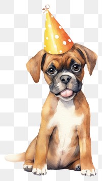 PNG Boxer party hat wearing puppy. 