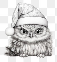 PNG Christmas animal image drawing sketch bird. 