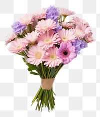 PNG  Bouquet flower daisy plant