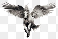 PNG Pegasus animal mammal flying
